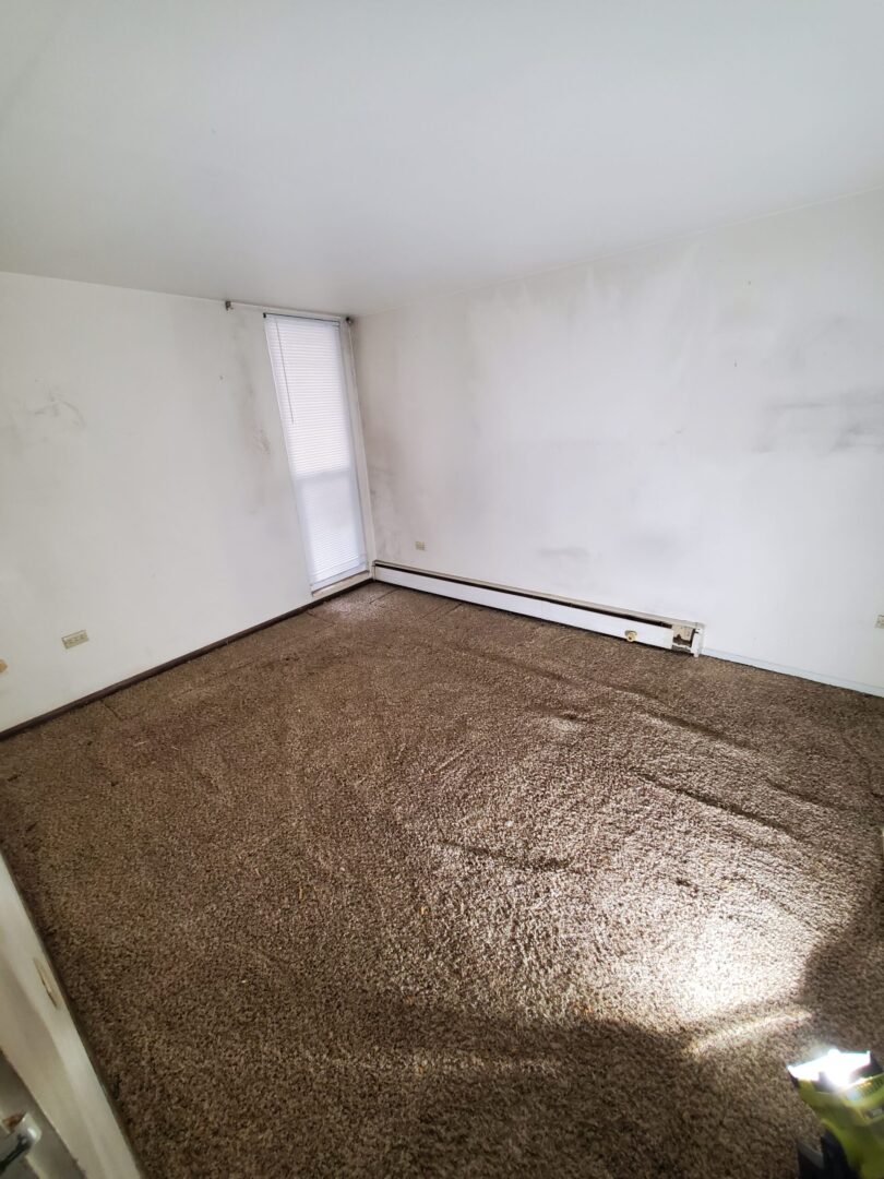 cleanout11b