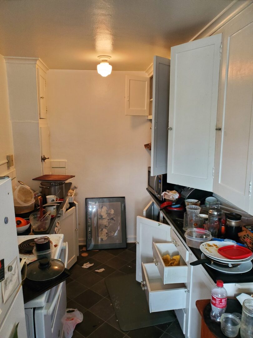 cleanout19a