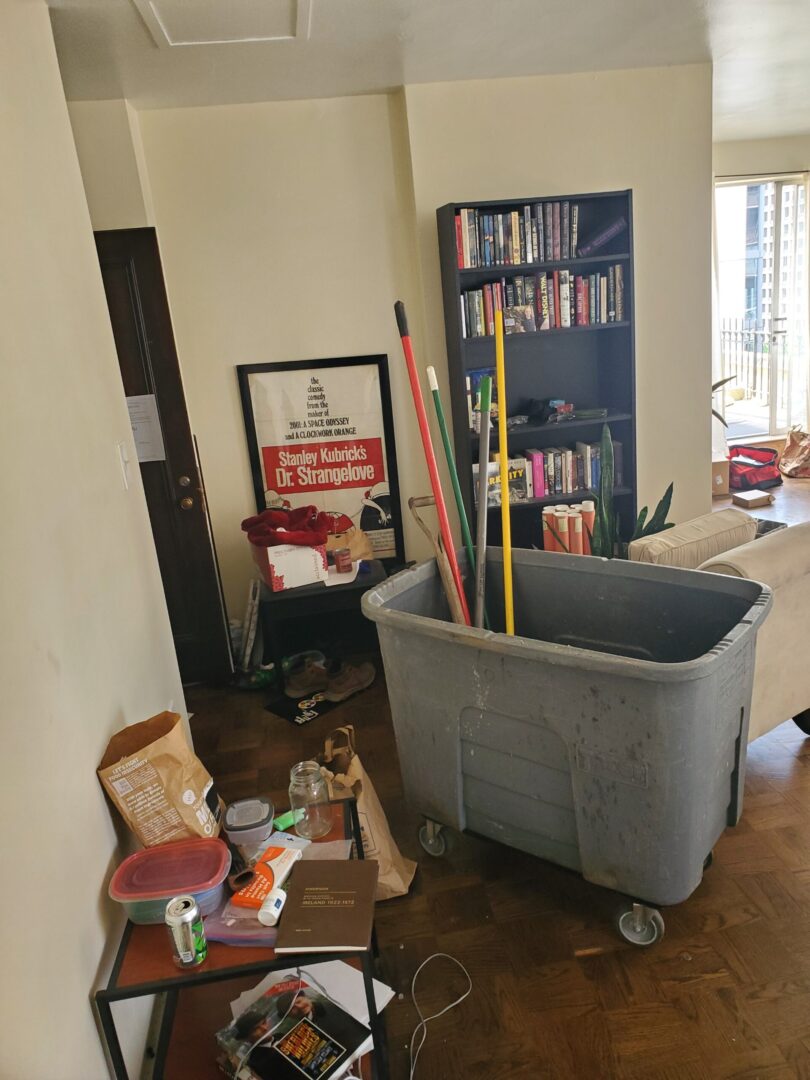 cleanout1a