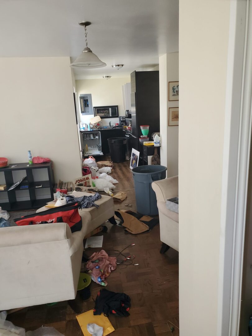 cleanout2a
