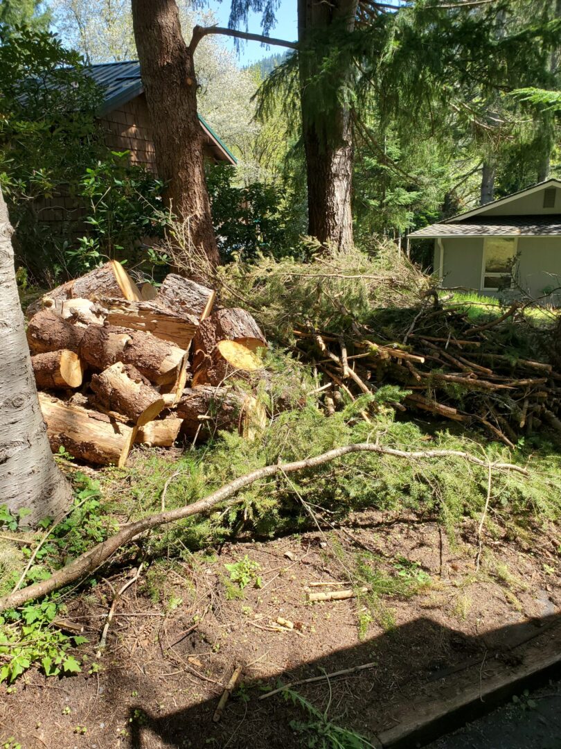 yardwaste1a